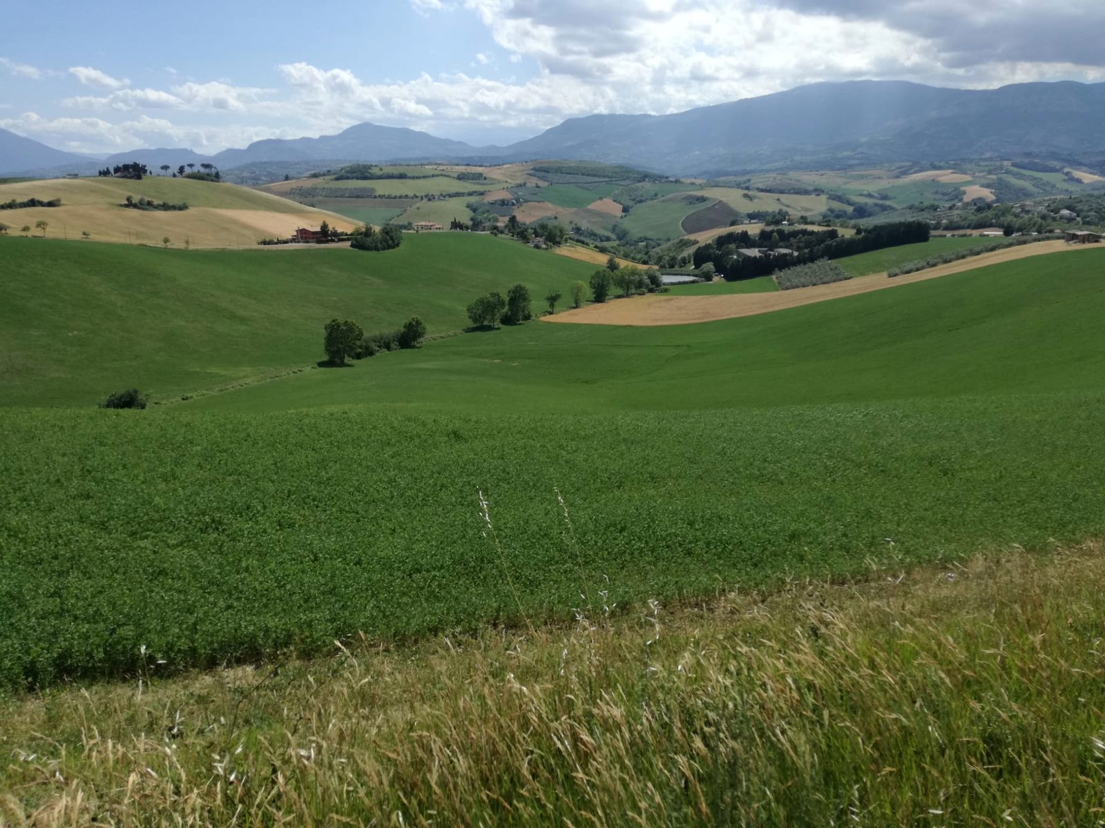 I campi coltivati e le colline pescaresi